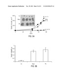 NOVEL HEPARANASE SPLICE VARIANT diagram and image