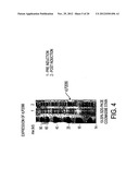 NOVEL IMMUNOGENIC COMPOSITIONS FOR THE PREVENTION AND TREATMENT OF     MENINGOCOCCAL DISEASE diagram and image