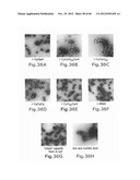 Packaging of Immunostimulatory Substances into Virus-Like Particles:     Method of Preparation and Use diagram and image
