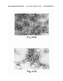 Packaging of Immunostimulatory Substances into Virus-Like Particles:     Method of Preparation and Use diagram and image