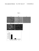 Oncolytic Virus as an Inducer for Innate Antitumor Immunity diagram and image