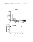 Oncolytic Virus as an Inducer for Innate Antitumor Immunity diagram and image