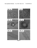 Nanostructured titanium oxide material and its synthesis procedure diagram and image