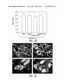 COMPOUNDS AND COMPOSITIONS FOR TREATING NEURONAL DEATH OR NEUROLOGICAL     DYSFUNCTION diagram and image