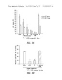 COMPOUNDS AND COMPOSITIONS FOR TREATING NEURONAL DEATH OR NEUROLOGICAL     DYSFUNCTION diagram and image