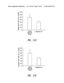 COMPOUNDS AND COMPOSITIONS FOR TREATING NEURONAL DEATH OR NEUROLOGICAL     DYSFUNCTION diagram and image