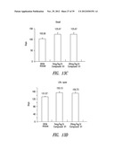 COMPOUNDS AND COMPOSITIONS FOR TREATING NEURONAL DEATH OR NEUROLOGICAL     DYSFUNCTION diagram and image