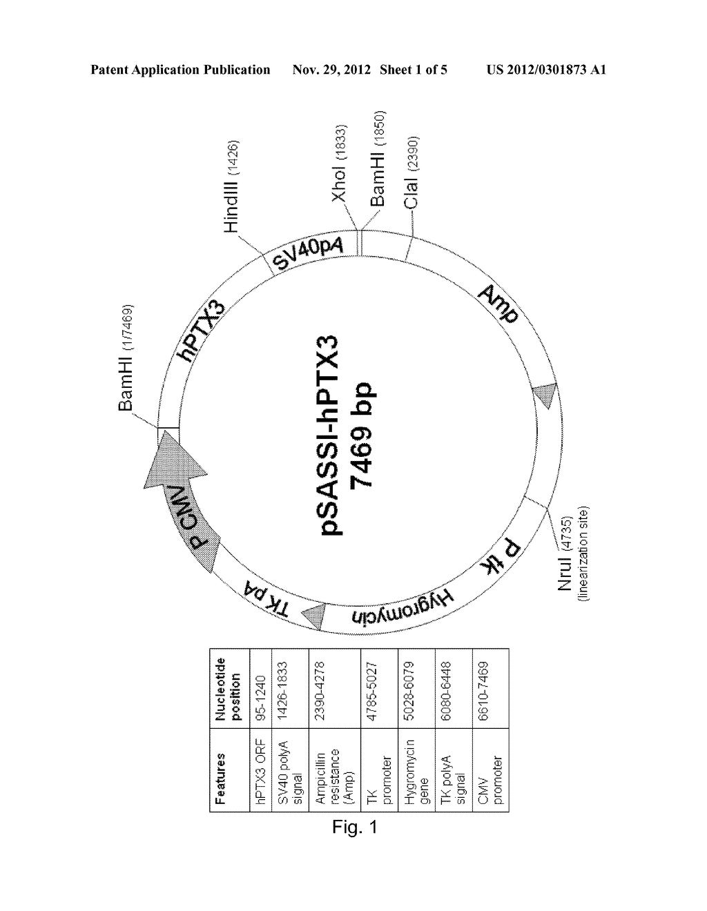 HUMAN LONG PENTRAXIN 3 EXPRESSION SYSTEM AND USES THEREOF - diagram, schematic, and image 02