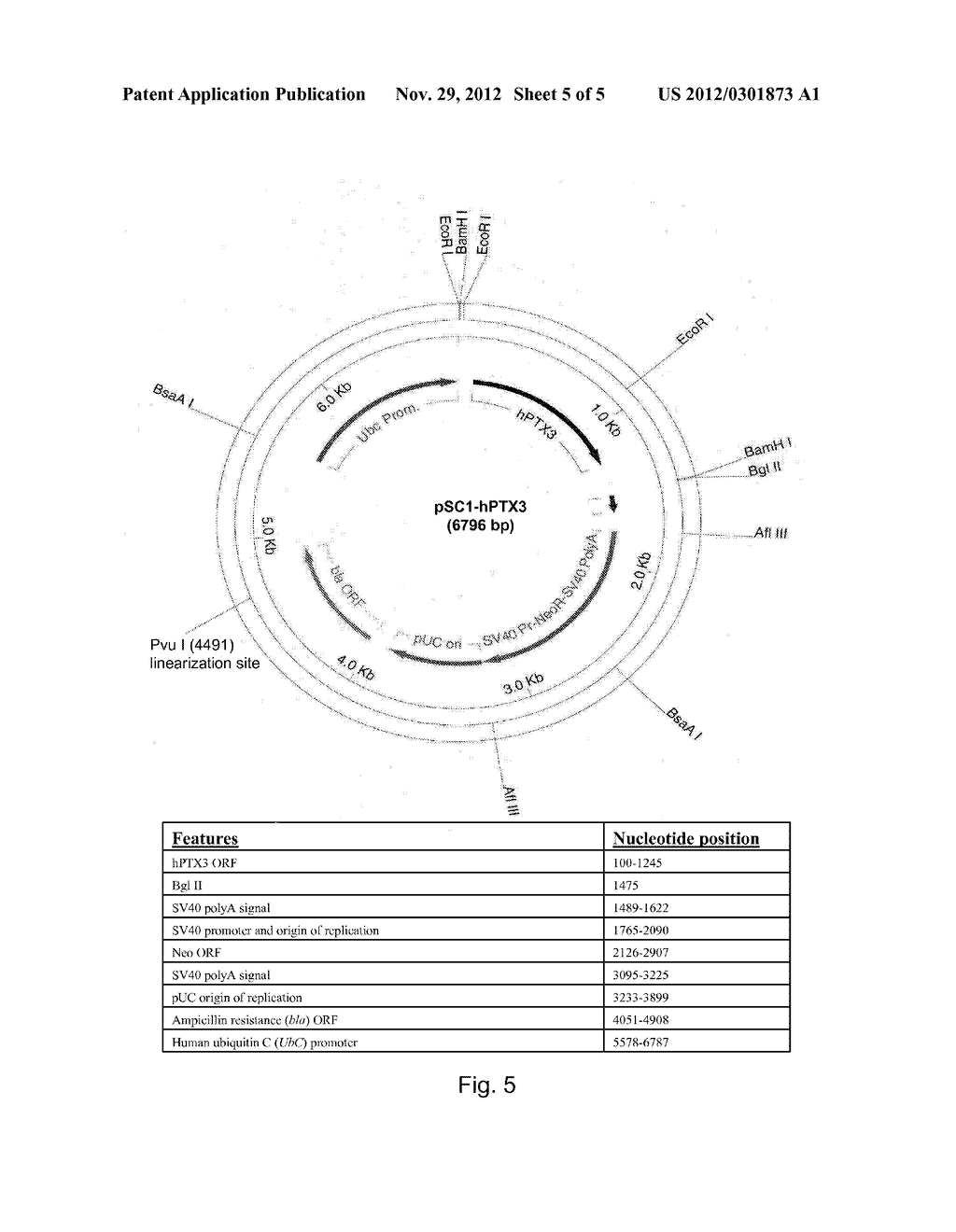 HUMAN LONG PENTRAXIN 3 EXPRESSION SYSTEM AND USES THEREOF - diagram, schematic, and image 06