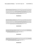 Compositions and Methods for Detection of Staphylococcus Aureus diagram and image