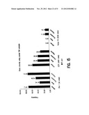 METHODS FOR GENERATING DATABASES AND DATABASES FOR IDENTIFYING POLYMORPHIC     GENETIC MARKERS diagram and image