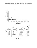 METHODS FOR GENERATING DATABASES AND DATABASES FOR IDENTIFYING POLYMORPHIC     GENETIC MARKERS diagram and image