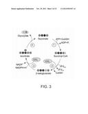 ENZYMATIC SYSTEMS FOR CARBON FIXATION AND METHODS OF GENERATING SAME diagram and image