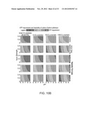 ENZYMATIC SYSTEMS FOR CARBON FIXATION AND METHODS OF GENERATING SAME diagram and image