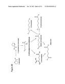 BIOLOGICAL SYNTHESIS OF DIFUNCTIONAL HEXANES AND PENTANES FROM     CARBOHYDRATE FEEDSTOCKS diagram and image