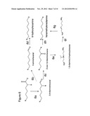 BIOLOGICAL SYNTHESIS OF DIFUNCTIONAL HEXANES AND PENTANES FROM     CARBOHYDRATE FEEDSTOCKS diagram and image