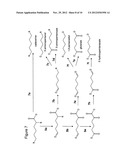 BIOLOGICAL SYNTHESIS OF DIFUNCTIONAL HEXANES AND PENTANES FROM     CARBOHYDRATE FEEDSTOCKS diagram and image