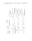 BIOLOGICAL SYNTHESIS OF DIFUNCTIONAL HEXANES AND PENTANES FROM     CARBOHYDRATE FEEDSTOCKS diagram and image