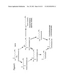 BIOLOGICAL SYNTHESIS OF DIFUNCTIONAL HEXANES AND PENTANES FROM     CARBOHYDRATE FEEDSTOCKS diagram and image