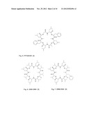 NOVEL 24-MEMBERED CYCLOOCTADEPSIPEPTIDES FROM FUNGAL STRAINS AND THEIR USE     AS ANTHELMINTICS OR ENDOPARASITICIDES diagram and image