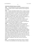 GEMCITABINE COMBINATION THERAPY diagram and image