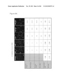 USE OF EMT GENE SIGNATURES IN CANCER DRUG DISCOVERY, DIAGNOSTICS, AND     TREATMENT diagram and image