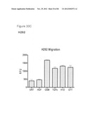 USE OF EMT GENE SIGNATURES IN CANCER DRUG DISCOVERY, DIAGNOSTICS, AND     TREATMENT diagram and image