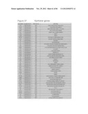 USE OF EMT GENE SIGNATURES IN CANCER DRUG DISCOVERY, DIAGNOSTICS, AND     TREATMENT diagram and image