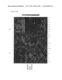 USE OF EMT GENE SIGNATURES IN CANCER DRUG DISCOVERY, DIAGNOSTICS, AND     TREATMENT diagram and image