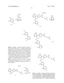 PICOLINAMIDO-PROPANOIC ACID DERIVATIVES USEFUL AS GLUCAGON RECEPTOR     ANTAGONISTS diagram and image