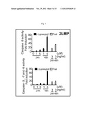 BIOMARKERS FOR GOSSYPOL CHEMOTHERAPY AND METHODS OF TREATING DISEASE diagram and image