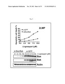BIOMARKERS FOR GOSSYPOL CHEMOTHERAPY AND METHODS OF TREATING DISEASE diagram and image