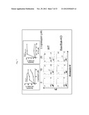 BIOMARKERS FOR GOSSYPOL CHEMOTHERAPY AND METHODS OF TREATING DISEASE diagram and image