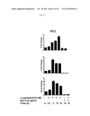 BIOMARKERS FOR GOSSYPOL CHEMOTHERAPY AND METHODS OF TREATING DISEASE diagram and image