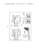 BIOMARKERS FOR GOSSYPOL CHEMOTHERAPY AND METHODS OF TREATING DISEASE diagram and image