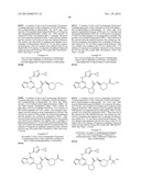 PYRROLOTRIAZINE KINASE INHIBITORS diagram and image