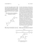 PYRROLOTRIAZINE KINASE INHIBITORS diagram and image