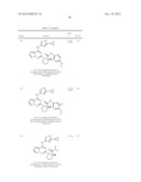 PYRROLOTRIAZINE KINASE INHIBITORS diagram and image