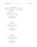 PYRROLOTRIAZINE KINASE INHIBITORS diagram and image