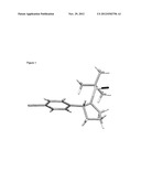 PROCESS FOR SYNTHESIS OF 2-SUBSTITUTED PYRROLIDINES AND PIPERADINES diagram and image