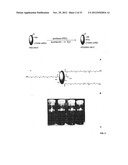 THERAPEUTIC COMPOSITIONS AND METHODS FOR TARGETED DELIVERY OF ACTIVE     AGENTS diagram and image