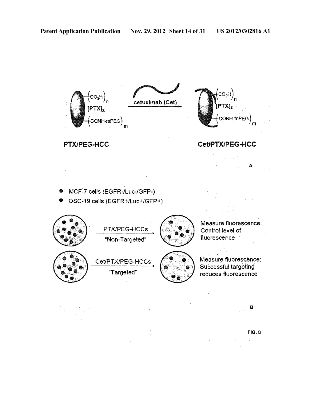 THERAPEUTIC COMPOSITIONS AND METHODS FOR TARGETED DELIVERY OF ACTIVE     AGENTS - diagram, schematic, and image 15