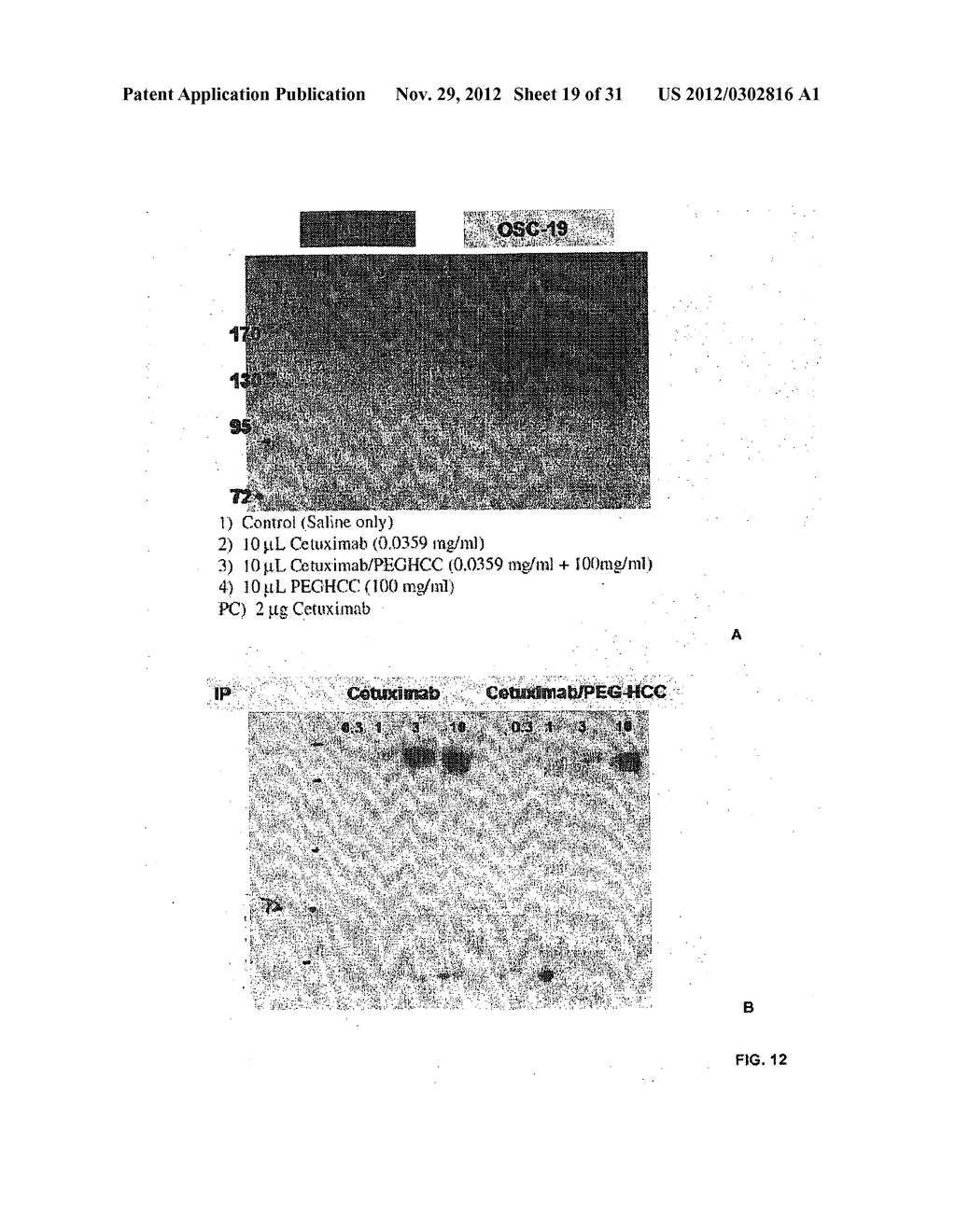 THERAPEUTIC COMPOSITIONS AND METHODS FOR TARGETED DELIVERY OF ACTIVE     AGENTS - diagram, schematic, and image 20