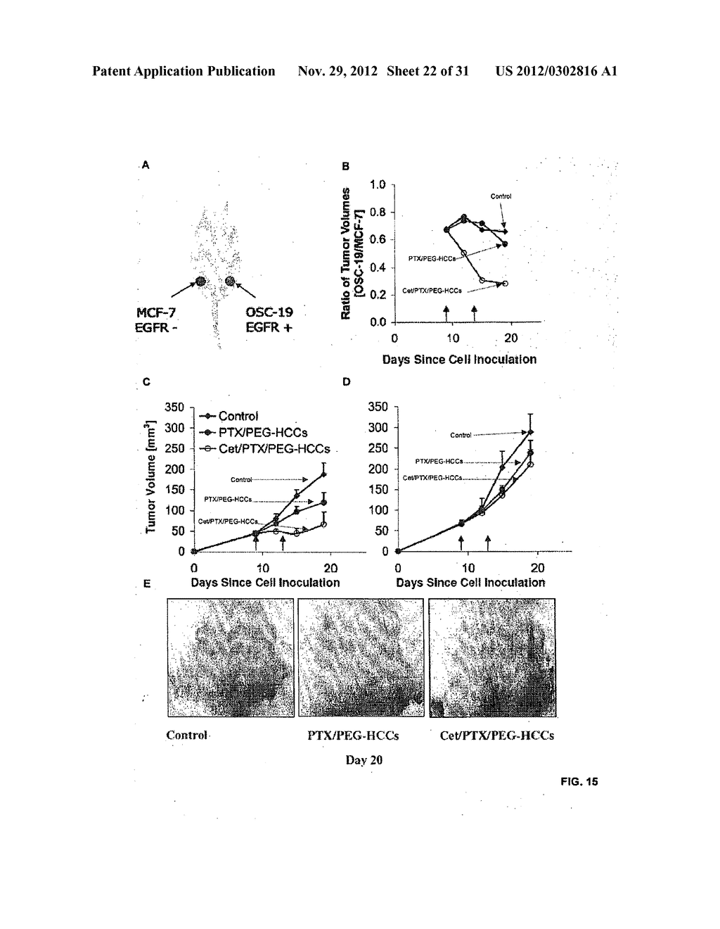 THERAPEUTIC COMPOSITIONS AND METHODS FOR TARGETED DELIVERY OF ACTIVE     AGENTS - diagram, schematic, and image 23