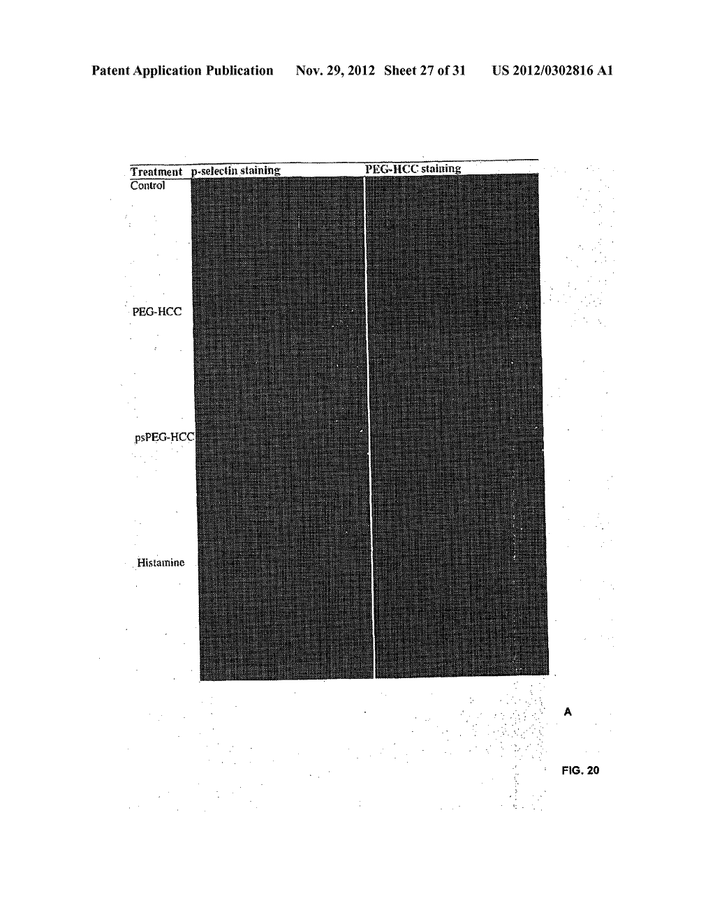 THERAPEUTIC COMPOSITIONS AND METHODS FOR TARGETED DELIVERY OF ACTIVE     AGENTS - diagram, schematic, and image 28