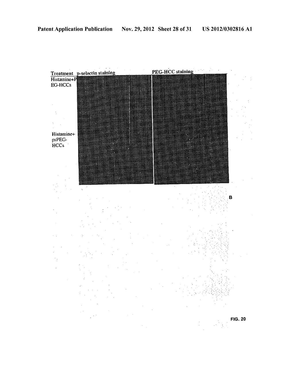 THERAPEUTIC COMPOSITIONS AND METHODS FOR TARGETED DELIVERY OF ACTIVE     AGENTS - diagram, schematic, and image 29