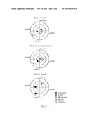 SYSTEM TO QUANTIFY AND VISUALIZE VENTRICULAR ROTATION PATTERN OF THE HEART diagram and image