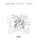 METHODS AND SYSTEMS FOR SCREENING SUBJECTS diagram and image