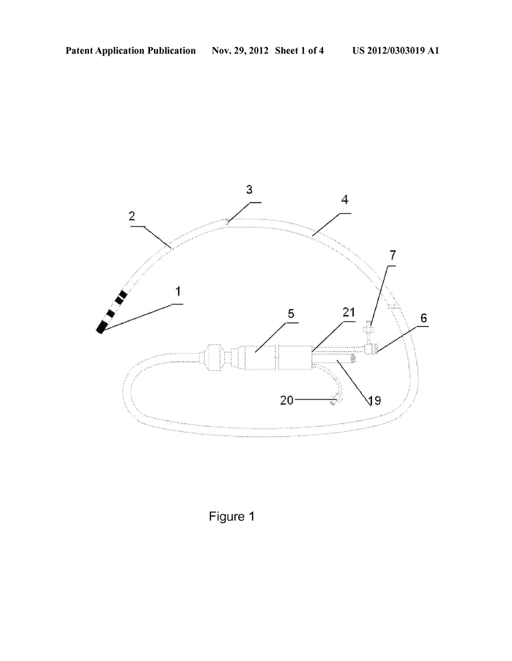 Kind of cardiac ablation catheter with guide-wire - diagram, schematic, and image 02