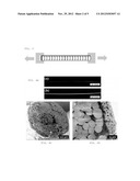 Suture Comprising Drug-Loaded Polymer Layer and Method of Manufacturing     the Same diagram and image